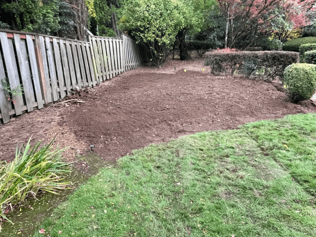 After — stump gone, fresh soil