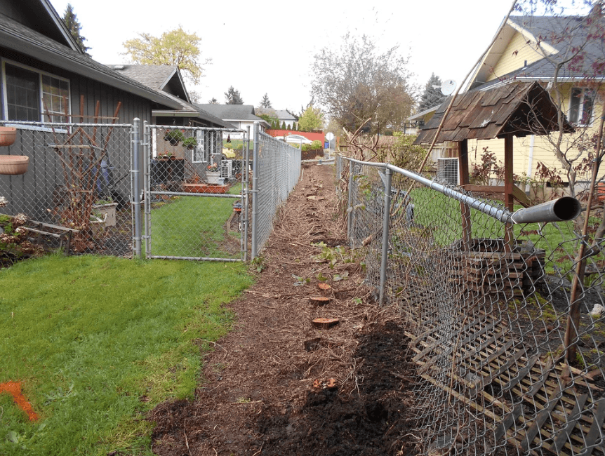 Before — same framing, stump in place