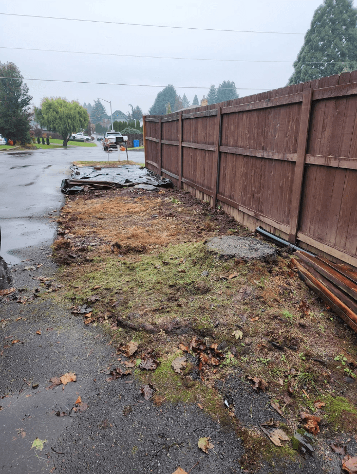Before — same framing, stump in place